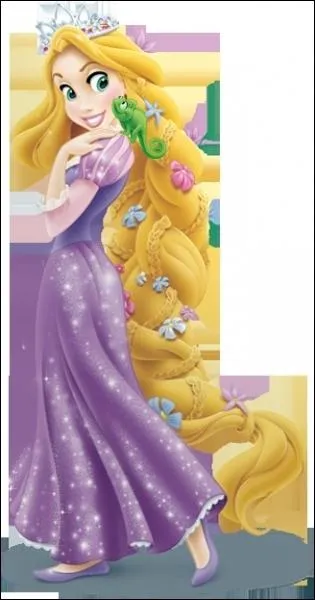 Cochez ce qui correspond  Raiponce :