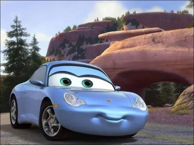 Cochez ce qui correspond  Sally :