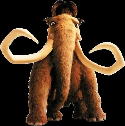 Comment s'appelle le mamouth ?