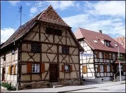 A Dannemarie, les habitants se nomment les ...