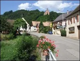 Ceux de Frland portent le nom de ...