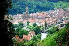 A Thann, les habitants portent le gentil ...