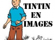 Quiz Tintin en Images (1)