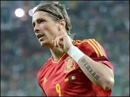 A quelle finale Fernando Torres n'a-t-il pas marqu de but avec l'Espagne ?
