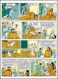 De quelle BD Tintin cette planche est-elle tire ?
