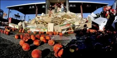 Retrouvez la proposition qui correspond  cette dfinition : massacre de fruits ou des pieds.