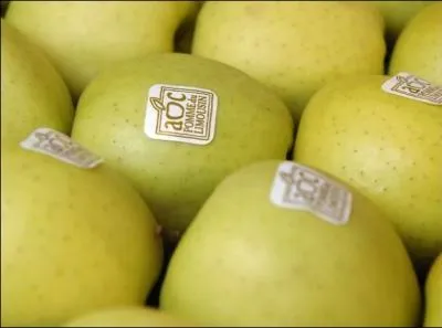 La pomme du Limousin est cultive sur quatre dpartements comprenant une centaine de communes. Slectionnez la rponse.