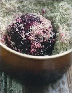 La France est le deuxime producteur de betteraves, aprs l'Italie. La consommation franaise est d'environ 1, 2 kg par an et par habitant. Vous reconnaissez ici une betterave :