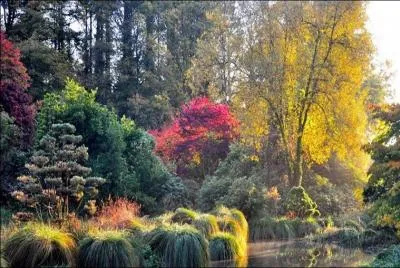 Une promenade dans un magnifique parc botanique o les ors et les pourpres enchantent l'œil et l'me : le parc botanique de La Foltire, devrait vous plaire. O est-il situ ?