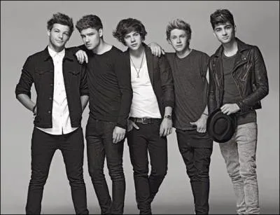 Quelle est la chanson compose par Ed Sheeran dans l'album  Take me home  ?