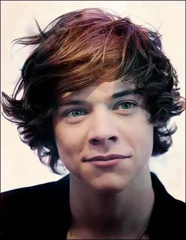 Harry Styles est sorti avec...