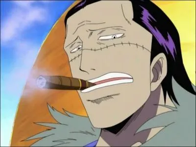 Combien de fois Luffy combat-il Crocodile dans l'arc Alabasta ?