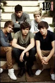 Les One Directon ont t decouvert dans l'mission... ?