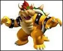 C'est le mchant des jeux  Mario . Qui est-ce ?