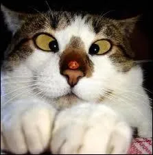 Il avait du mal  viser le planeur :