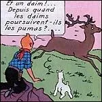 Quelle est l'erreur dans cette case ?