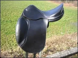 Comment s'appelle cette selle ?