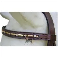 Comment appelle-t-on cette partie du filet ?