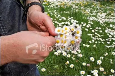 Et, quand il passe, ne s'effeuille Pour ne (... ) sourire aux vainqueurs ;