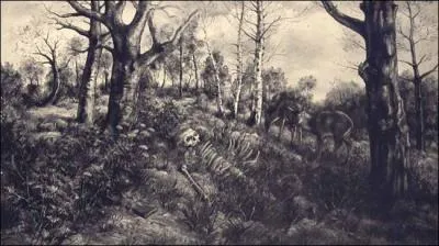 A nos malheurs, indiffrentes, Vous vous talez sans (... ) :