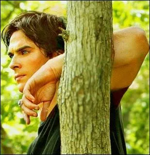 Qui l'a tu ou a caus sa mort ?