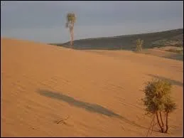 Dans quel dsert l'akhal-tk a-t-il t lev depuis plus de 3000 ans ?