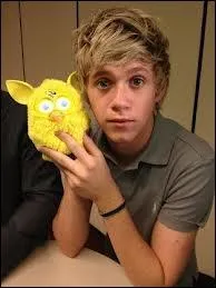 Quand une fan demande  Niall de l'pouser, il dit ...