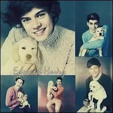 Quand il tait petit, il ramenait toujours les chiens qu'il voyait dans la rue et les ramenait chez lui, mais sa mre n'tait pas d'accord. Qui est-ce ?