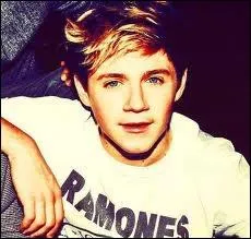 Le pouvoir que voudrait avoir Niall est . .