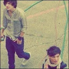 Qui est la cible de toutes les mauvaises blagues de Harry et Louis ?