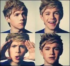 Pourquoi les deux poissons de Niall sont-ils morts ?