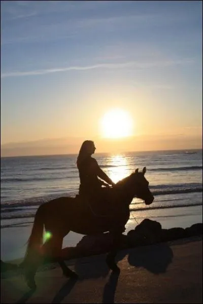 Quelle discipline n'existe pas ?