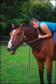 Un cheval a-t-il besoin de beaucoup d'affection ?