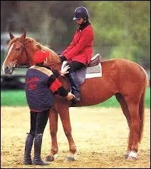 Quel diplme faut-il pour tre moniteur d'quitation ?