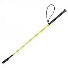 Comment se nomme cet objet en quitation ?