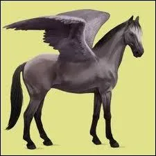 Combien cote la cl des affaires ?