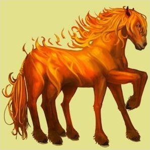 Quiz Equideow