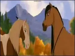 Pendant combien de temps Spirit est-il au poteau ?