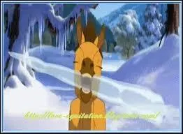 Quelle est l'une btise que fait Spirit au dbut du film ?