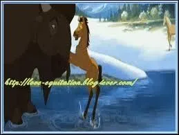 Au lac, quel animal rencontre Spirit ?