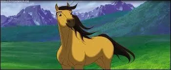 Comment s'appellent les plaines o vit Spirit ?