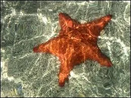 Je m'appelle Astrid ...