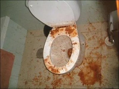 Est-ce-que les chevaux peuvent avoir des nauses ?