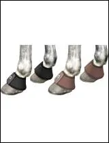 Le scratch des cloches se met ... . .