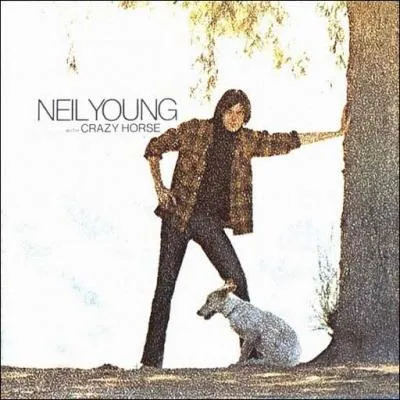 Deuxime album de Neil, sorti en 69, celui-ci ne passa pas inaperu. Il dfinit le son de Neil et quelques cut resteront lgendaires dont Cowgirl in the sand. Le titre est noir et existentialiste