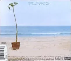 Mon album prfr. Le plus noir, le plus dpouill pour une pochette lumineuse. Album culte que Neil prit beaucoup de temps  rditer. Une des chansons fut aussi culte chez les punks. C'est :