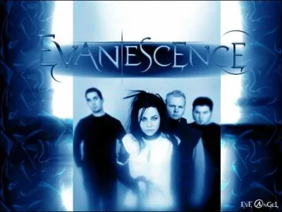 Amy Lee a crit des chansons pour le film  Le Monde de Narnia , mais elles furent rejetes car juges  trop sombres et trop piques 