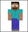 Voici un skin.  qui appartient-il ?