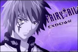 De quoi est faite la tour du paradis ?