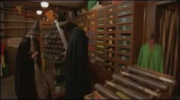 J'ai galement besoin d'accessoires pour m'entraner au Quidditch. Connaissez-vous une bonne adresse ?